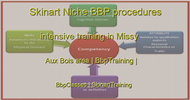 Skinart Niche BBP procedures intensive training in Missy Aux Bois area | BbpTraining | BbpClasses | SkinartTraining-France
